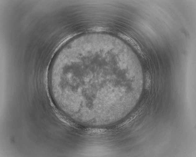 X0000115321039200912141154