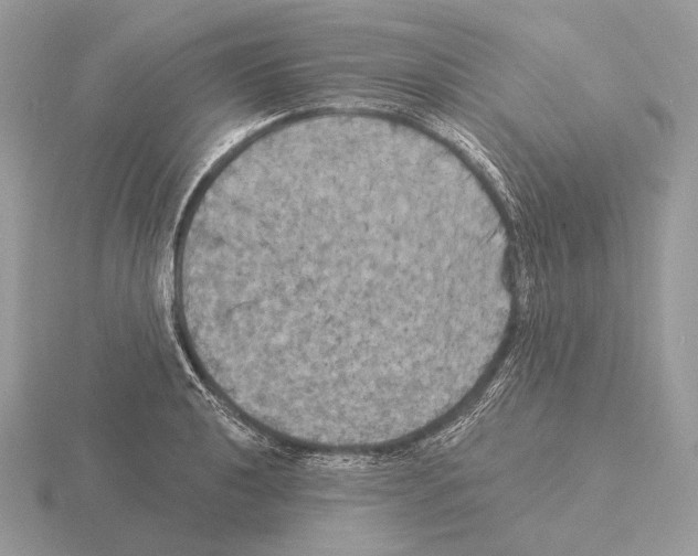 X0000115321040200912141154