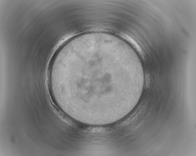 X0000115321043200912141154