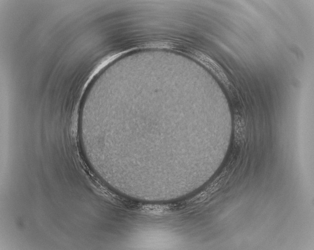 X0000115321044200912141154