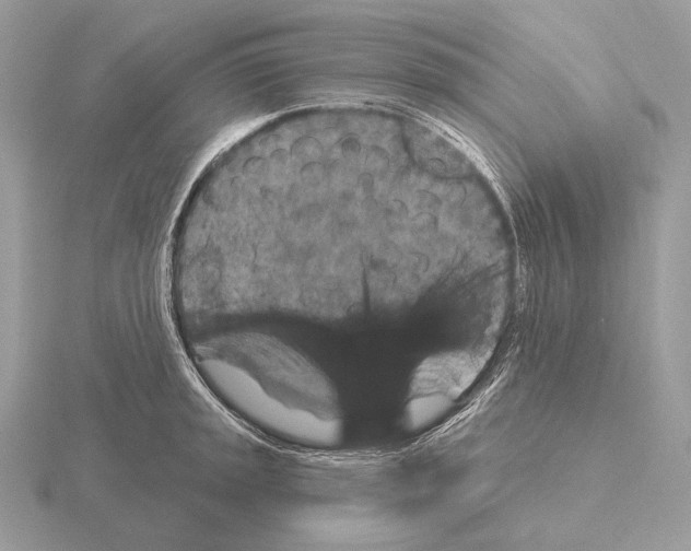 X0000115321045200912141154