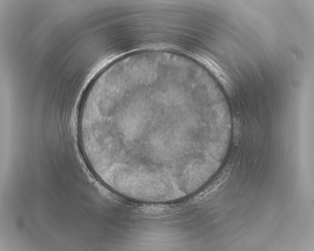 X0000115321046200912141154