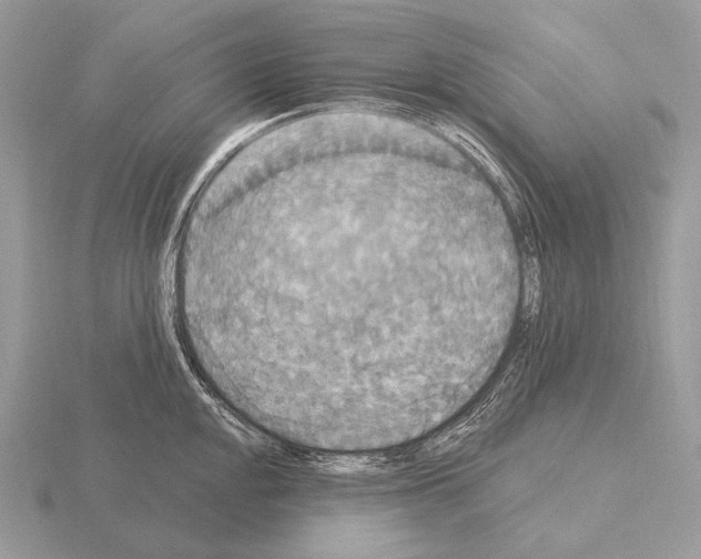 X0000115321048200912141154