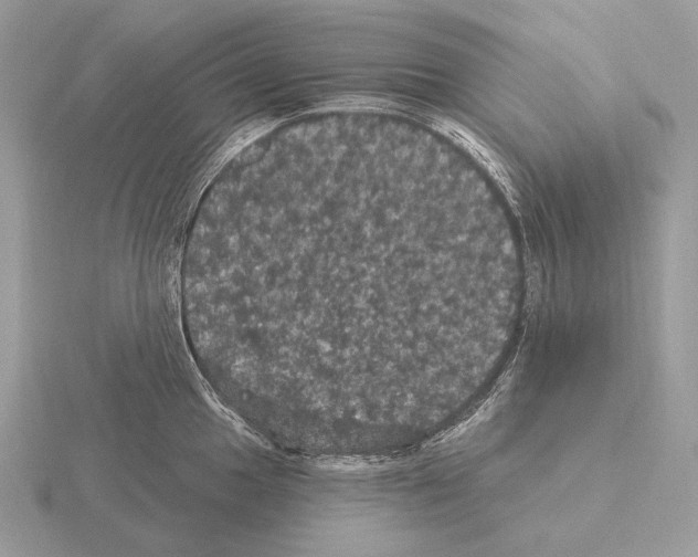 X0000115321049200912141154