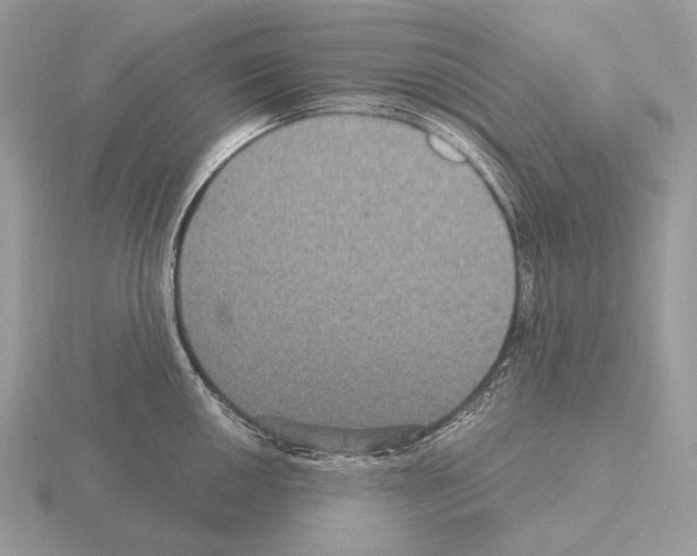 X0000115321050200912141154