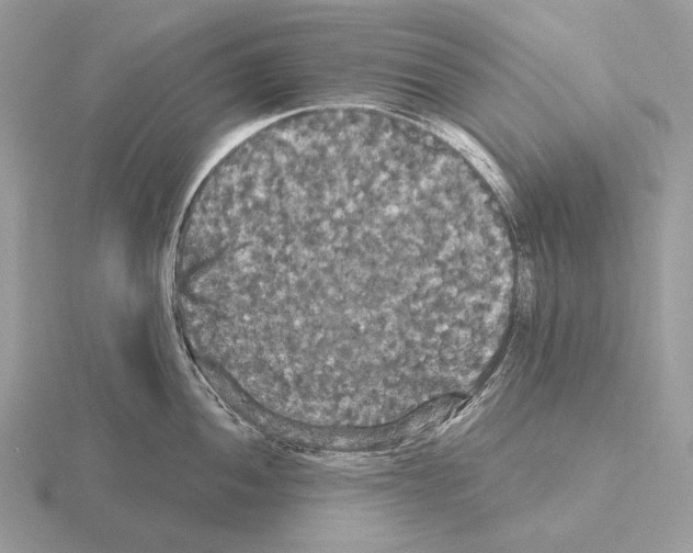 X0000115321052200912141154