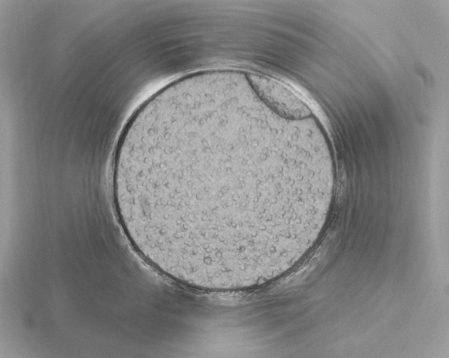 X0000115321053200912141154