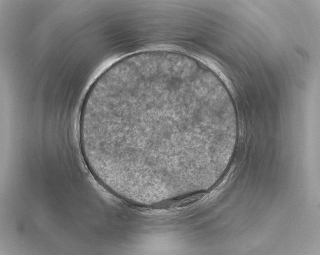 X0000115321054200912141154