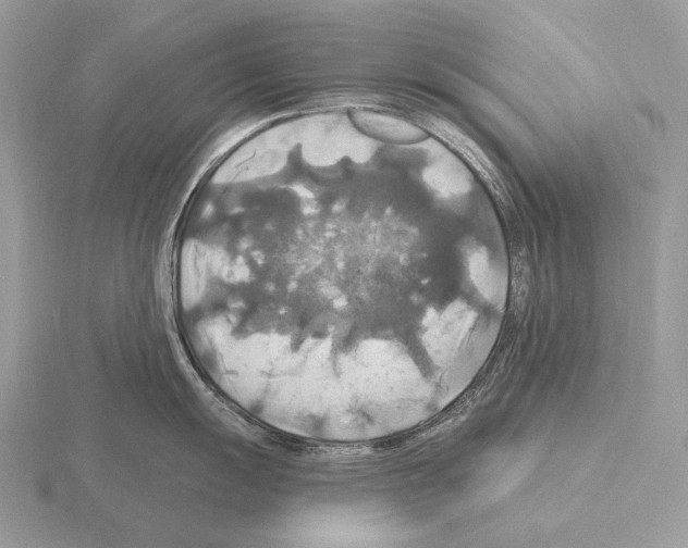 X0000115321055200912141154