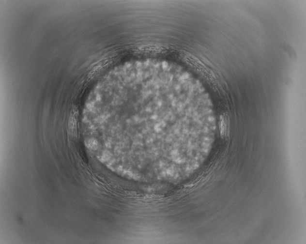 X0000115321059200912141153