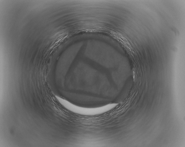 X0000115321060200912141153