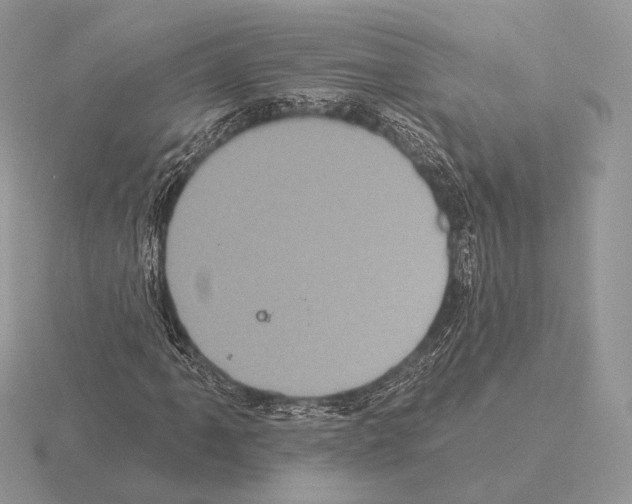 X0000115321061200912141153