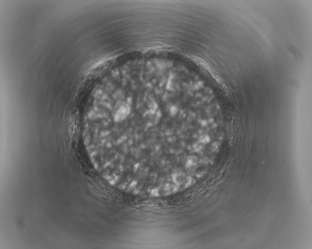 X0000115321063200912141153