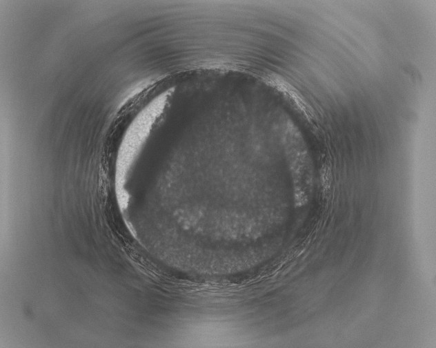 X0000115321064200912141153