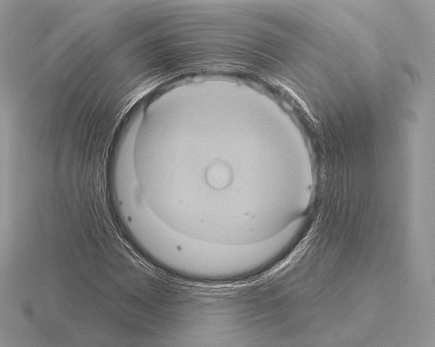 X0000115321065200912141153