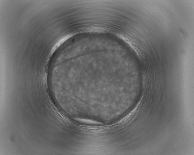 X0000115321066200912141153