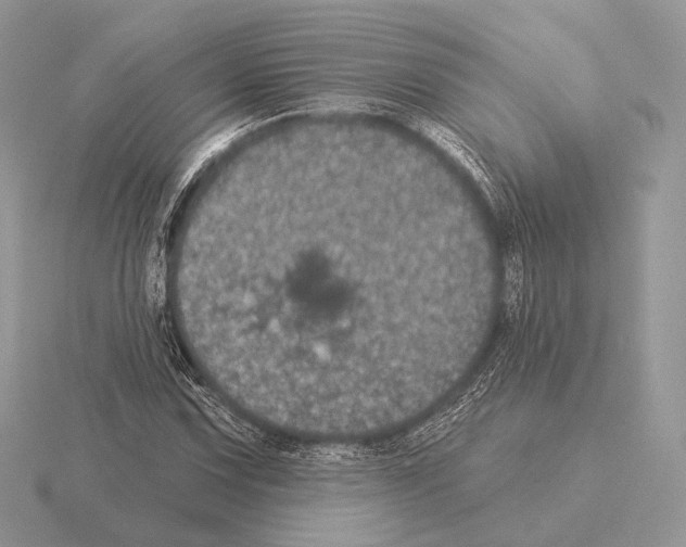 X0000115321067200912141153