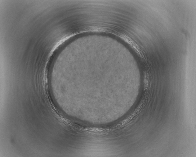 X0000115321070200912141153