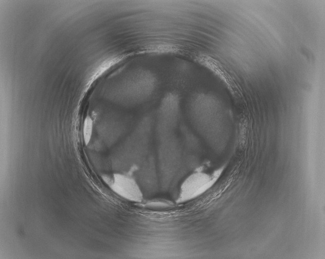 X0000115321071200912141153