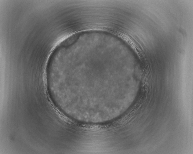 X0000115321072200912141153