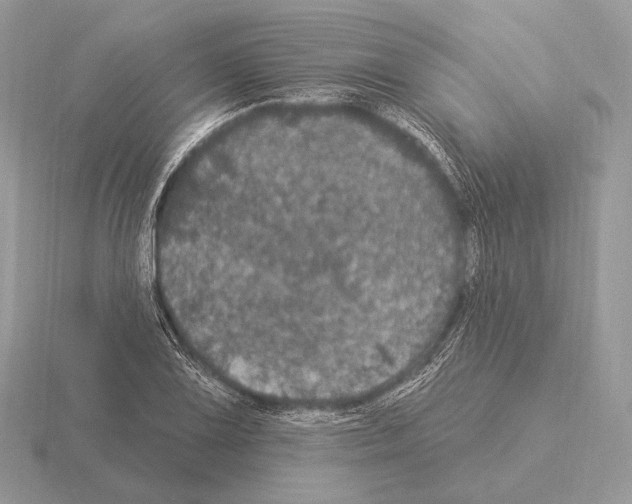 X0000115321075200912141153