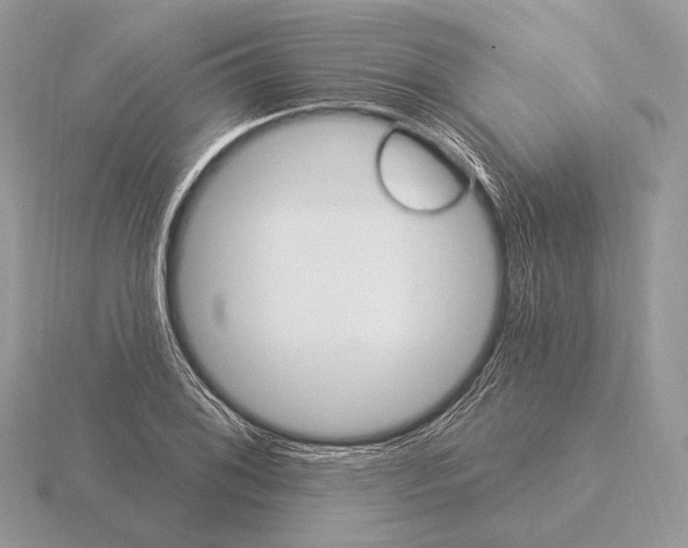 X0000115321076200912141153