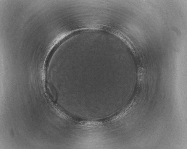 X0000115321077200912141153