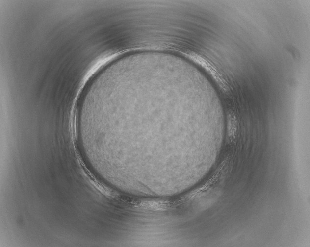 X0000115321078200912141153