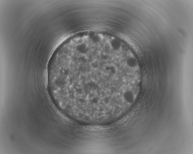 X0000115321079200912141153