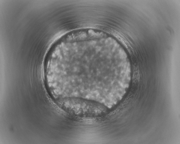 X0000115321080200912141153