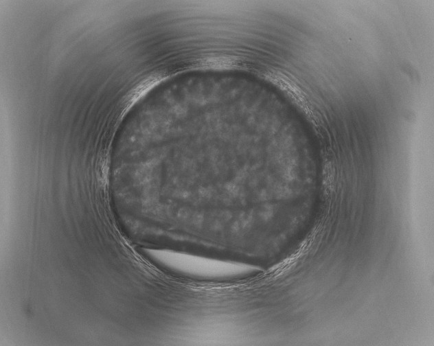 X0000115321081200912141153