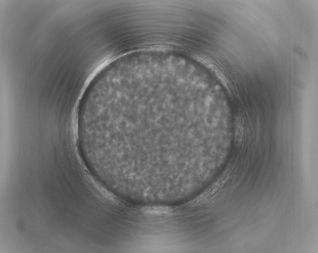 X0000115321083200912141153