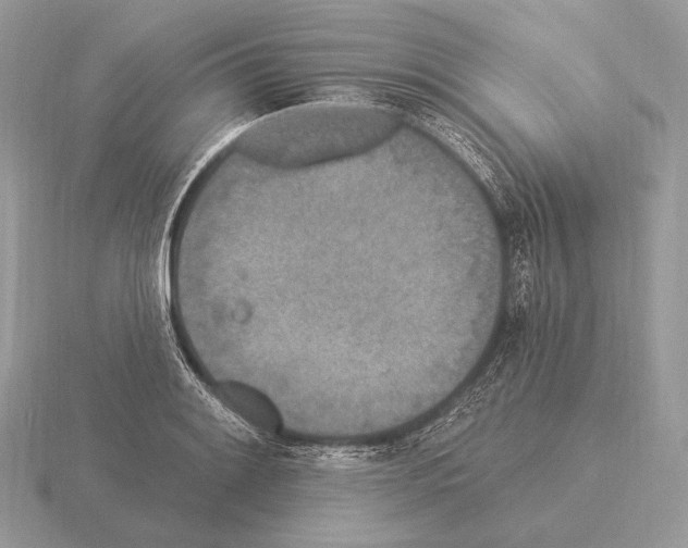 X0000115321084200912141153