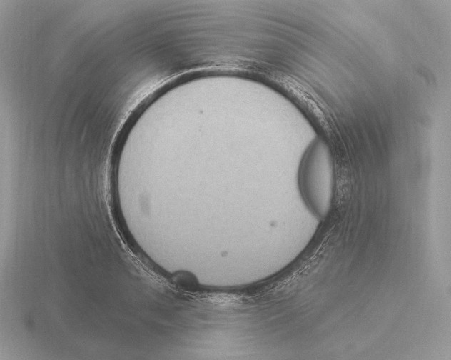 X0000115321085200912141153