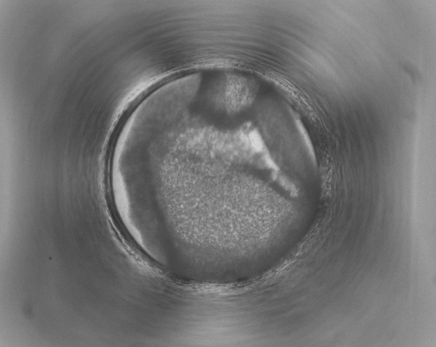 X0000115321086200912141153