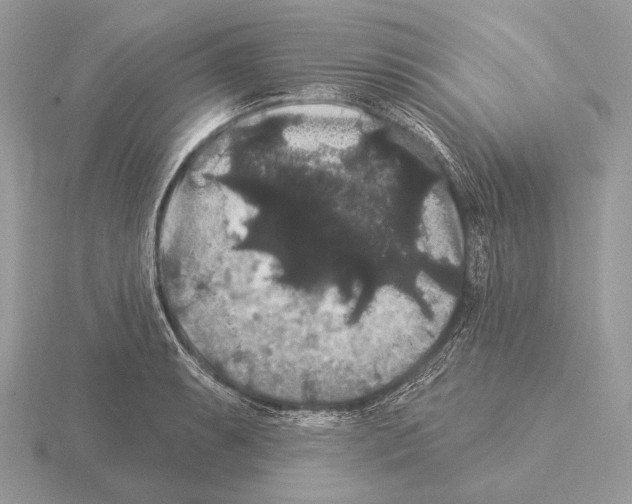 X0000115321087200912141153