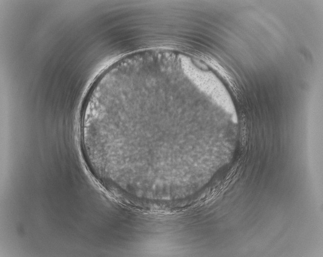 X0000115321088200912141153