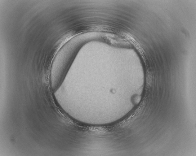 X0000115321089200912141153