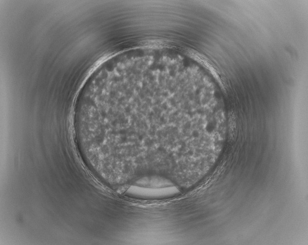 X0000115321091200912141153