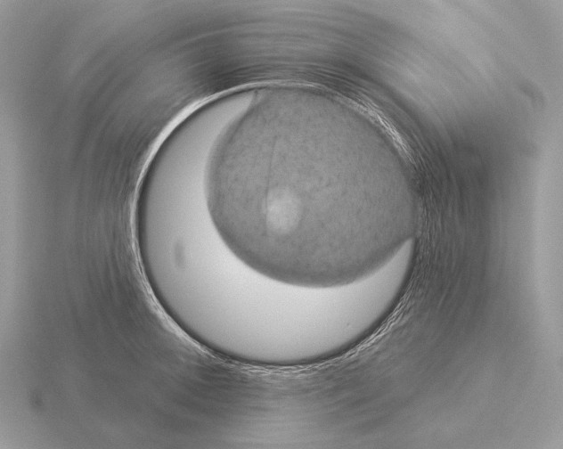 X0000115321092200912141153