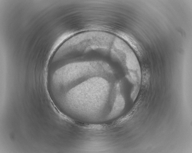 X0000115321094200912141153