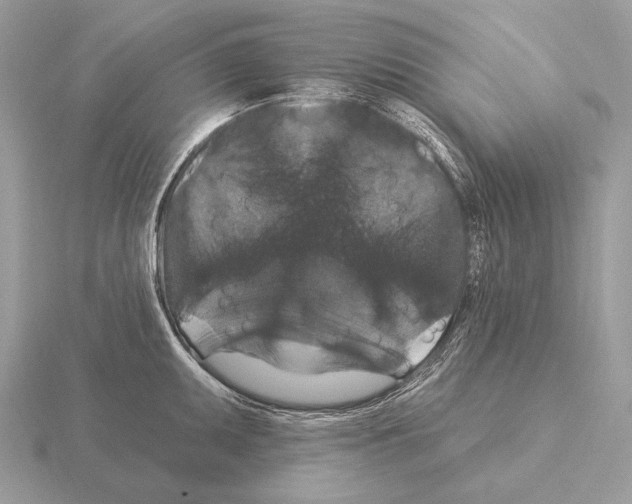 X0000115321095200912141153