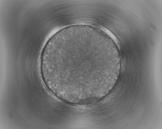 X0000115321096200912141153