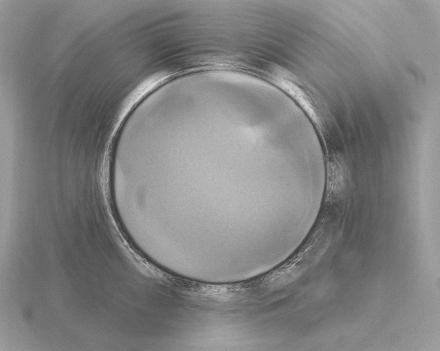 X0000115321098200912141153