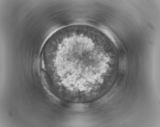 X0000115321100200912141153