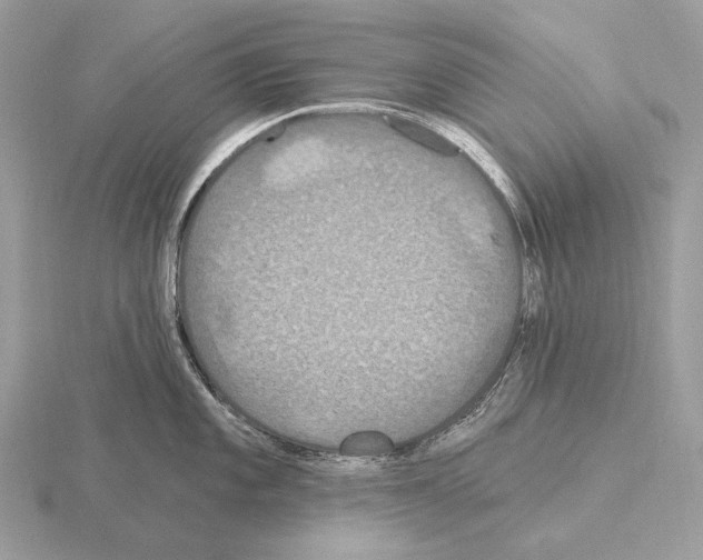 X0000115321101200912141153