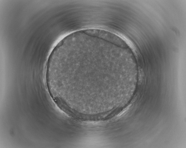 X0000115321102200912141153