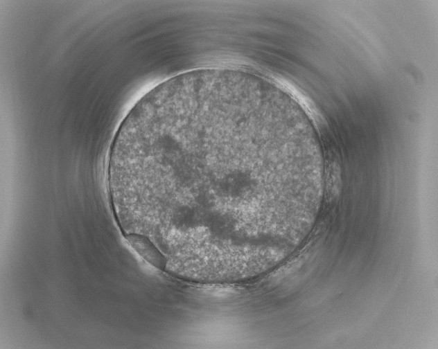 X0000115321103200912141153