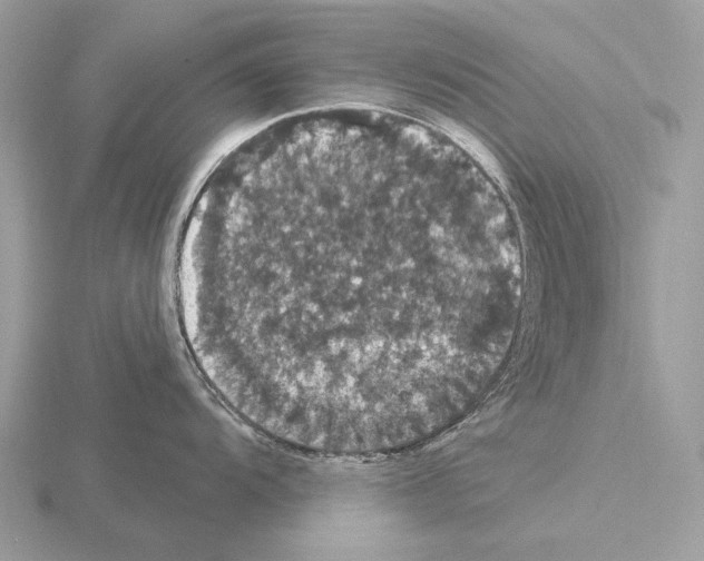 X0000115321104200912141153