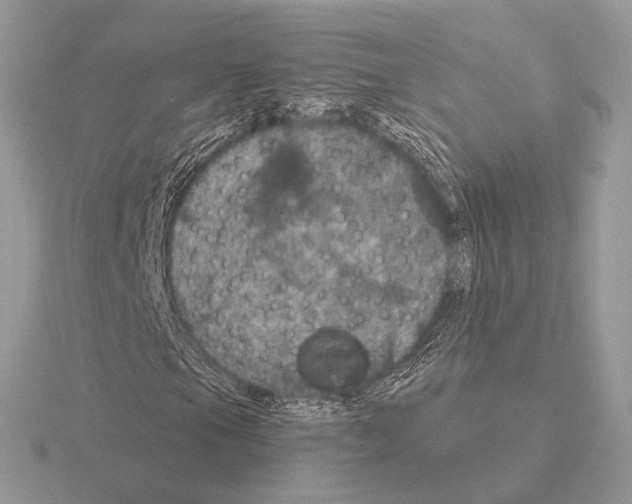 X0000115321105200912141152